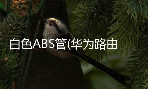 白色ABS管(华为路由 Q6子母路由三链路高效组网，轻松实现全屋WiFi信号覆盖)