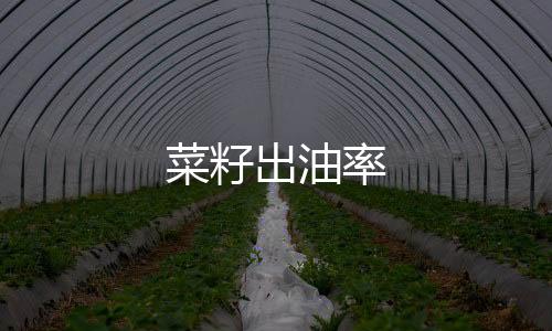 菜籽出油率