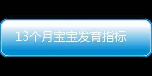 13个月宝宝发育指标